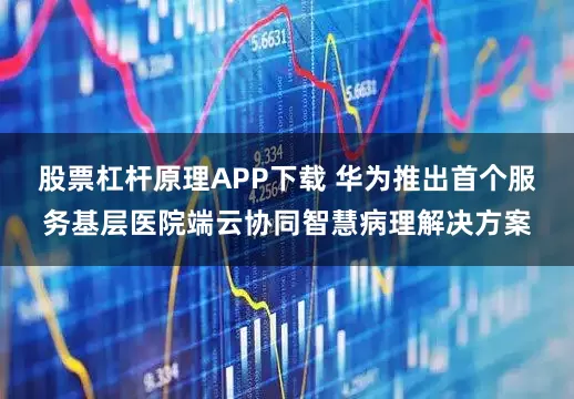 股票杠杆原理APP下载 华为推出首个服务基层医院端云协同智慧病理解决方案